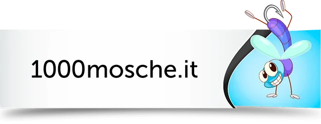 1000mosche