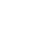 100kgems