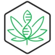 7CBD Health
