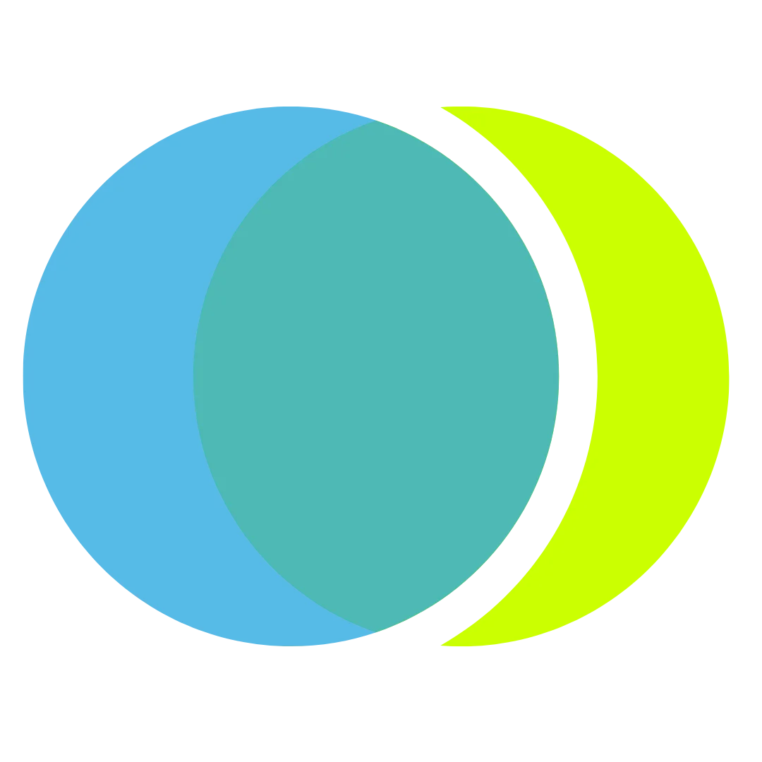 8020 Consulting