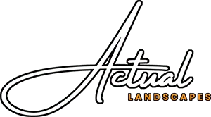 Actual Landscapes