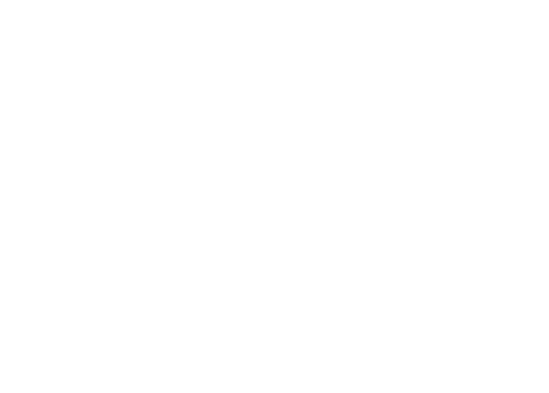 Adomlingua