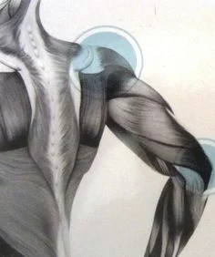 AdvancedSportMassage