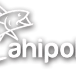 AhiPoki Bowl