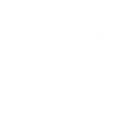 Wieser Consulting GmbH
