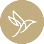 Allied Business Schools