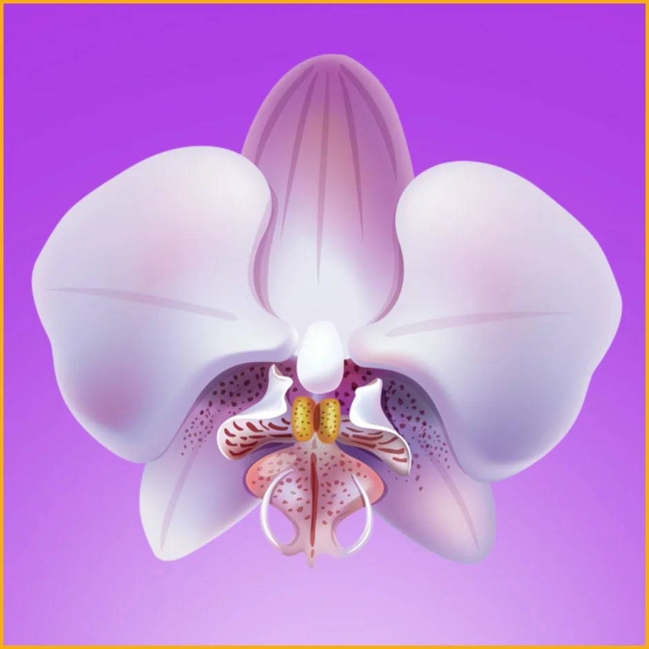 Amazingthaimassage