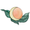 AmberLuna Apothecary