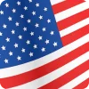 American Fizz