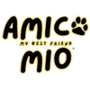 Amico Mio Co