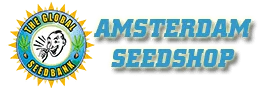 Amsterdamseeds