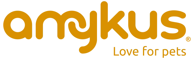 Amykus