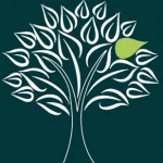 Andrew Mills Financial Services Ltd