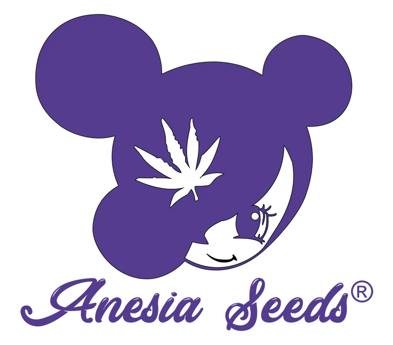 Anesiaseeds