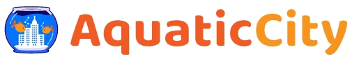 Aquaticcity