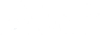 Arctic Wolf Networks