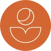 In Alignment Coaching