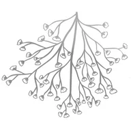 Atemwege Breathwork - Hanna Kutschke