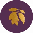 Aurosochocolate