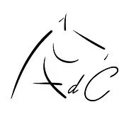 Autour Du Cheval