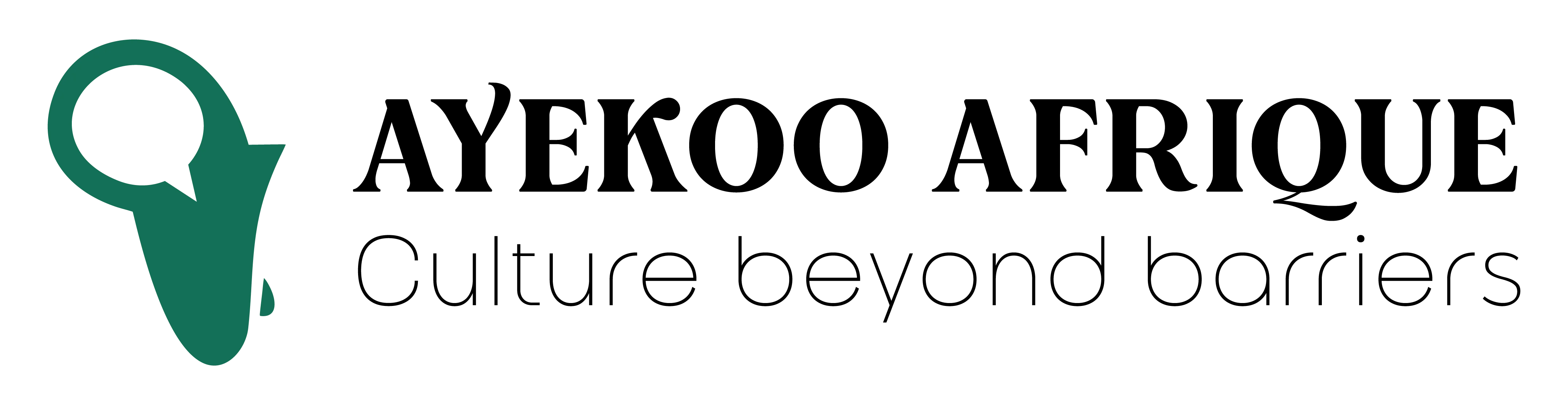 AYEKOO AFRIQUE LLC