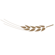 Baecker Schulze