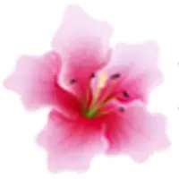 Baguiopetal