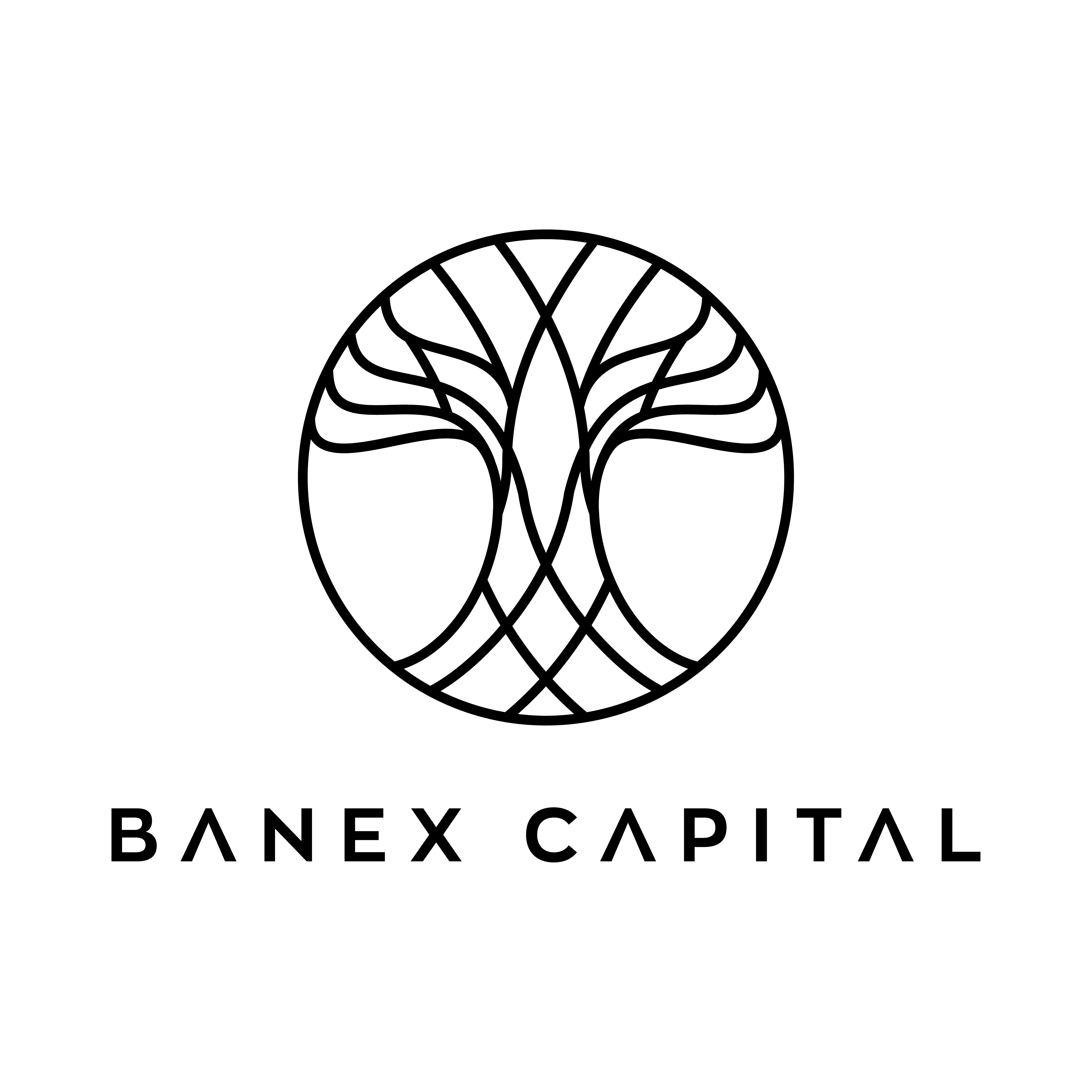 Banexcapital