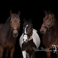 Barry Barnard Photography