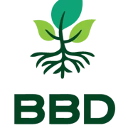 BBD Editions