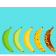 Best Banana Hypnotherapy