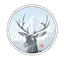 Big Mountain Antlers