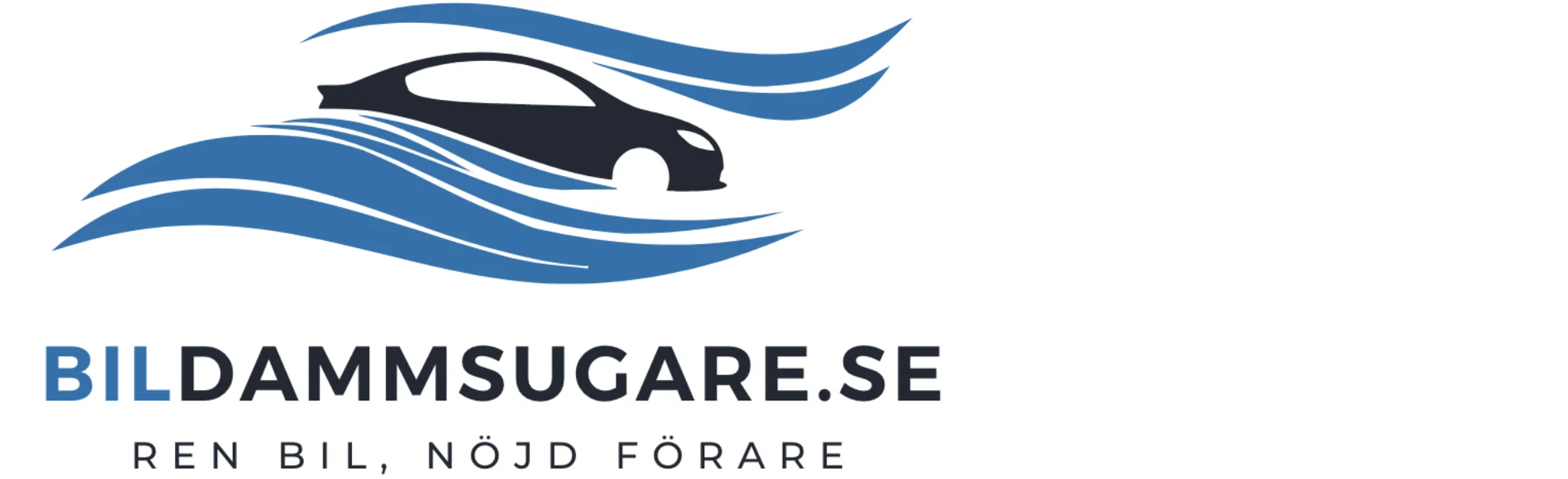 Bildammsugare
