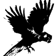 Bird and Barrel