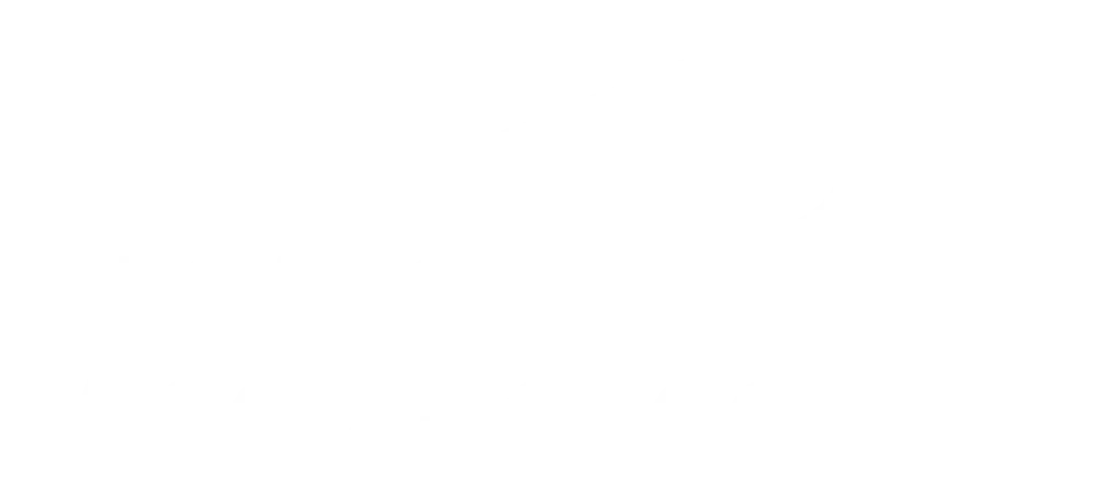 Business Video School