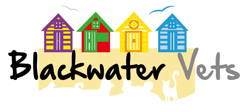 Blackwatervets