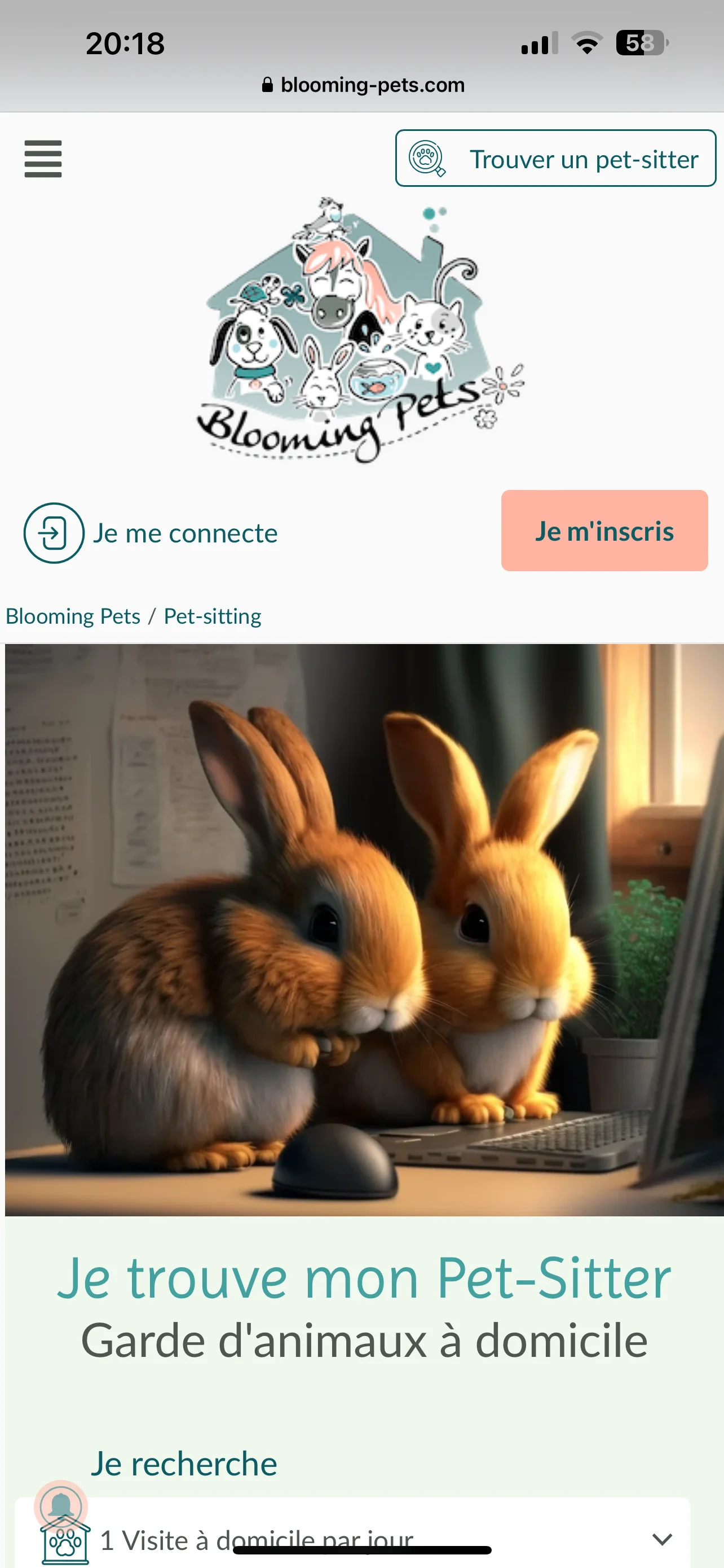 Blooming Pets - Pet-sitting