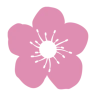 Blossom Home Care