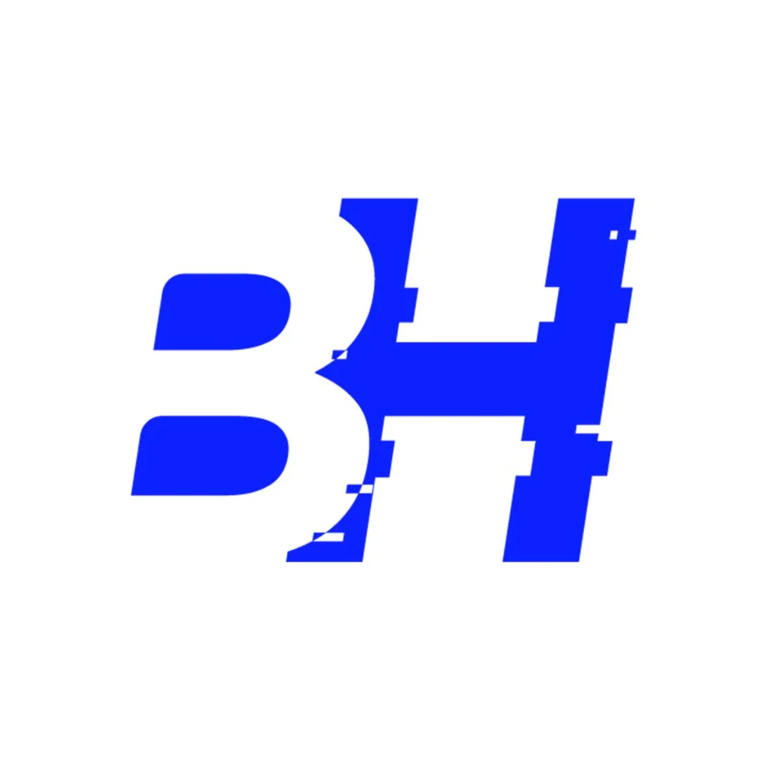 BlueHackers 