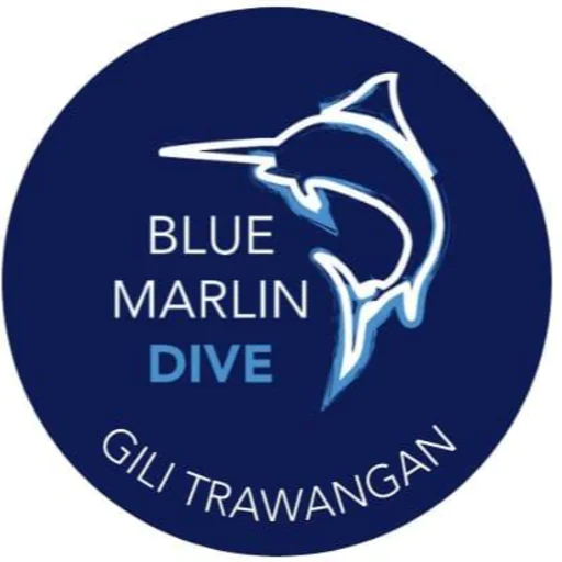 Blue Marlin Dive