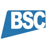 Blue Sapphire Consultancy ltd