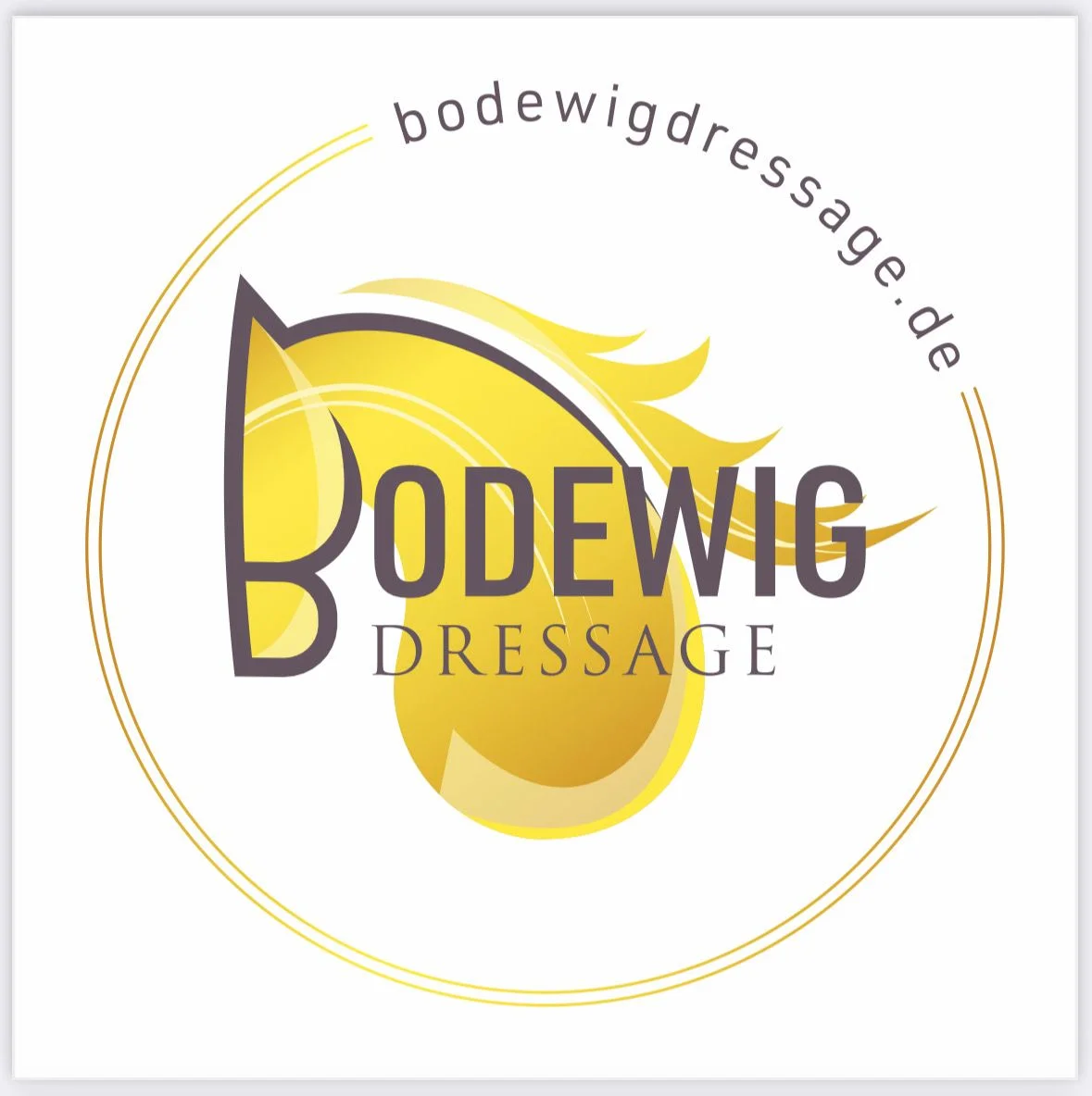 BODEWIG DRESSAGE