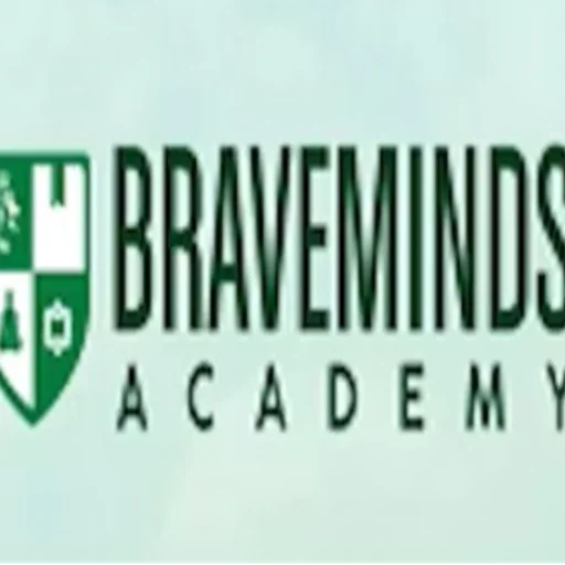 Braveminds Academy