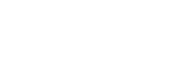 Brevius
