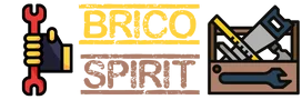 Bricospirit