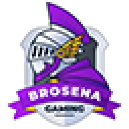 BroSena eSports
