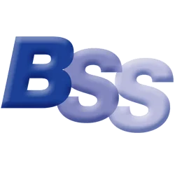 BSS  & Co Accountancy Services