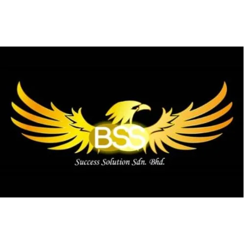 BSS Success Solution