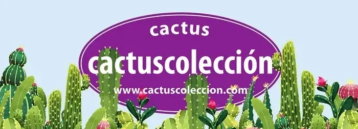 Cactuscoleccion