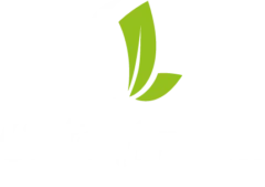 CAFE ARAYA
